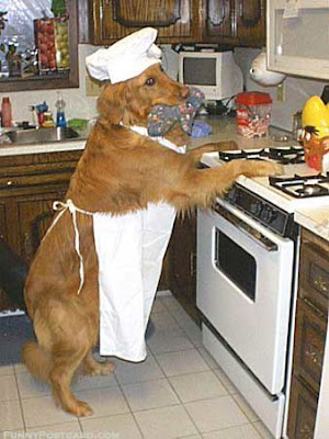 நாங்களும் தான்................. Dog+cooking
