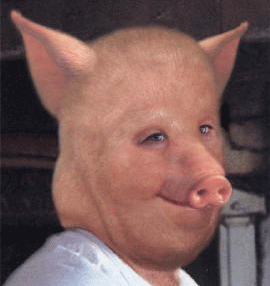 [pigman.gif]