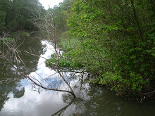 IMAGEM SÍMBOLO INVENTARIO AMBIENTAL