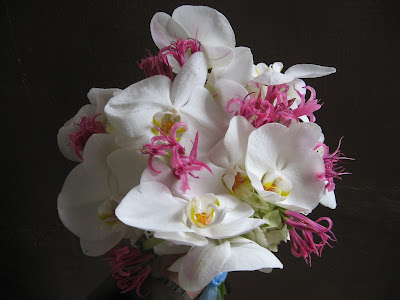 Pin By Piper On Spring Wedding Cornflower Wedding Flower