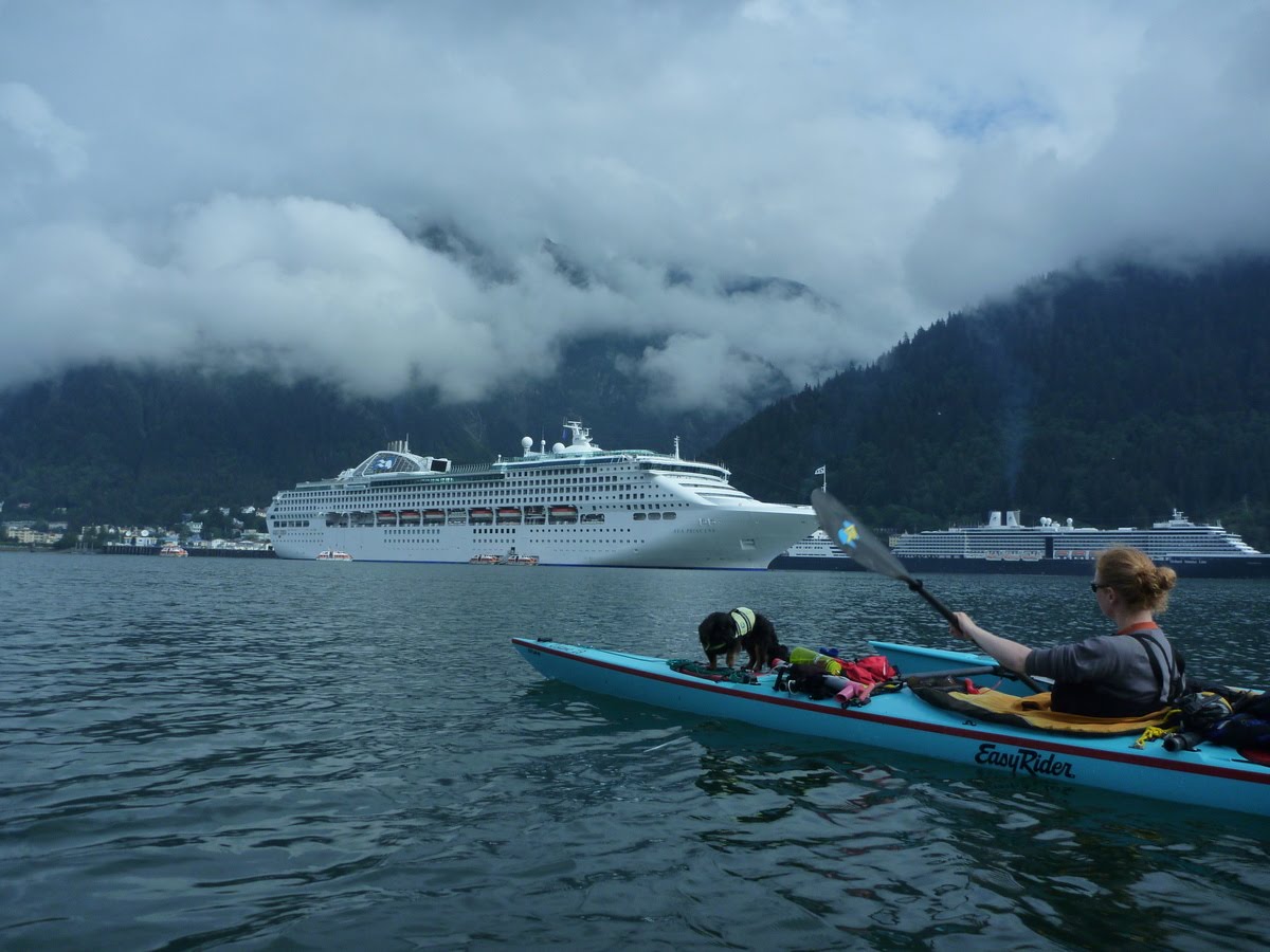 Juneau to Haines » Kayaking for a Cause Kayaking the Inside Passage