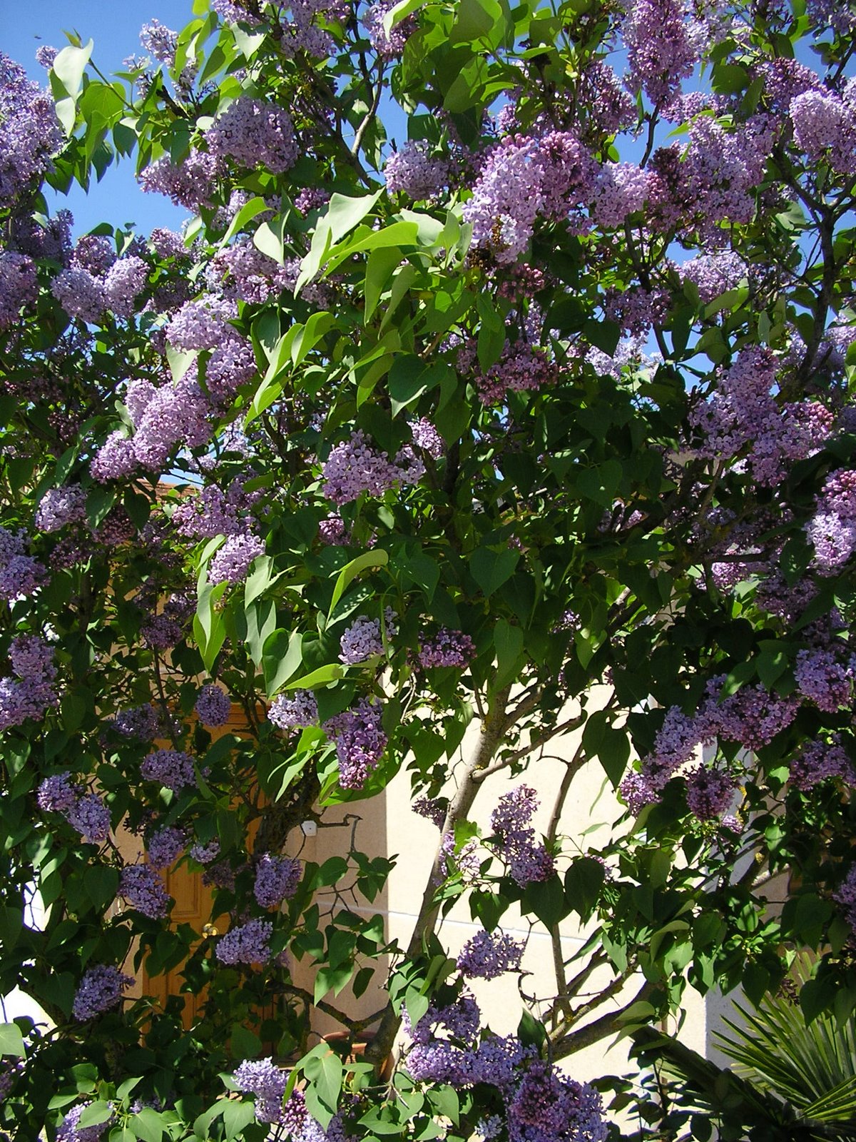 [P4220232.JPG]