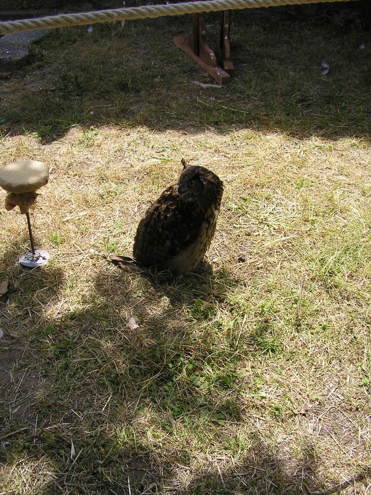 [P7080299.JPG]
