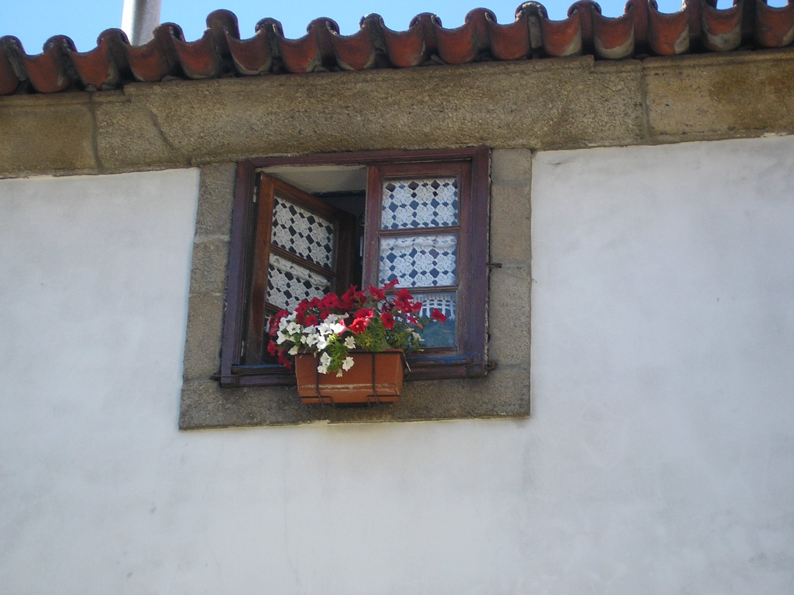 [P7300775.JPG]