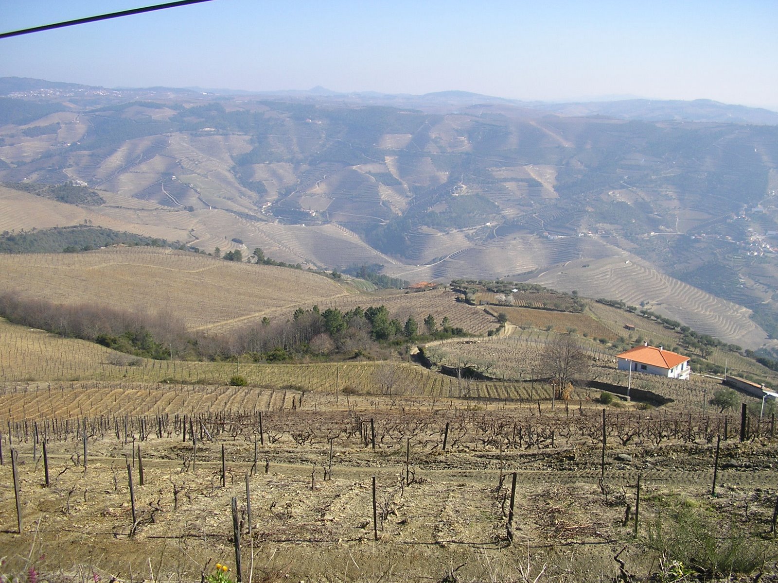 [P2230138.JPG]