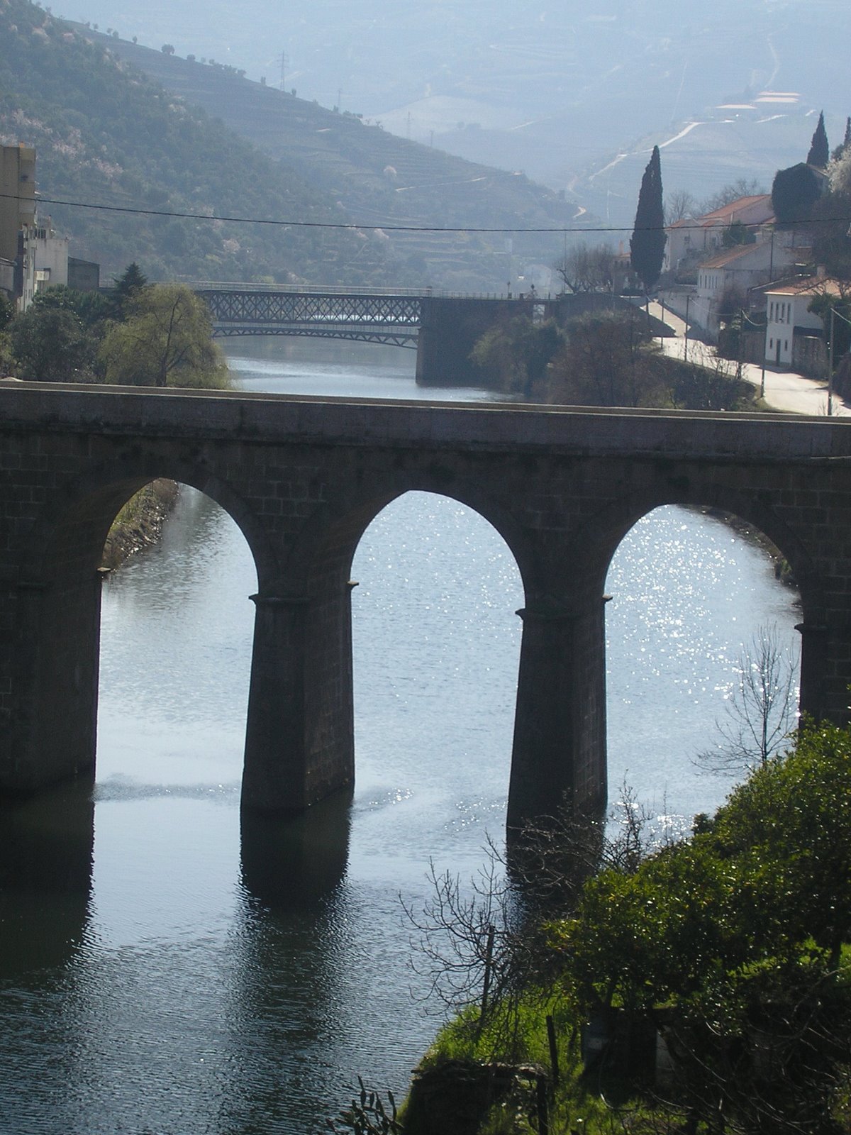 [P2230155.JPG]