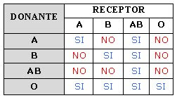 compatibilidad existente entre los distintos grupos sanguíneos.
