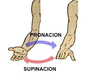 Un pequeño pene lo ha tomado