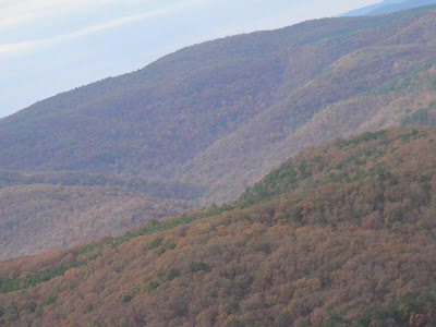 Fall Pictures from the Arkansas Ozark Mountains