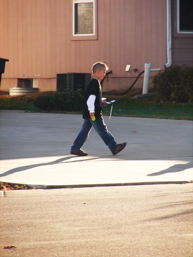 Daisy Photography Center of Interest