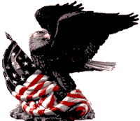 eagle flag 2, NATIONAL WAR COLLEGE MILITARY IMAGE COLLECTION