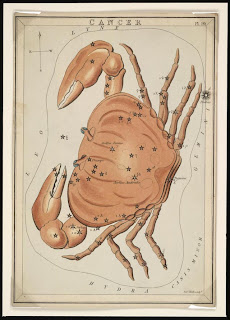 Astronomical chart showing Cancer the Crab, Jehoshaphat Aspin. London : 1825