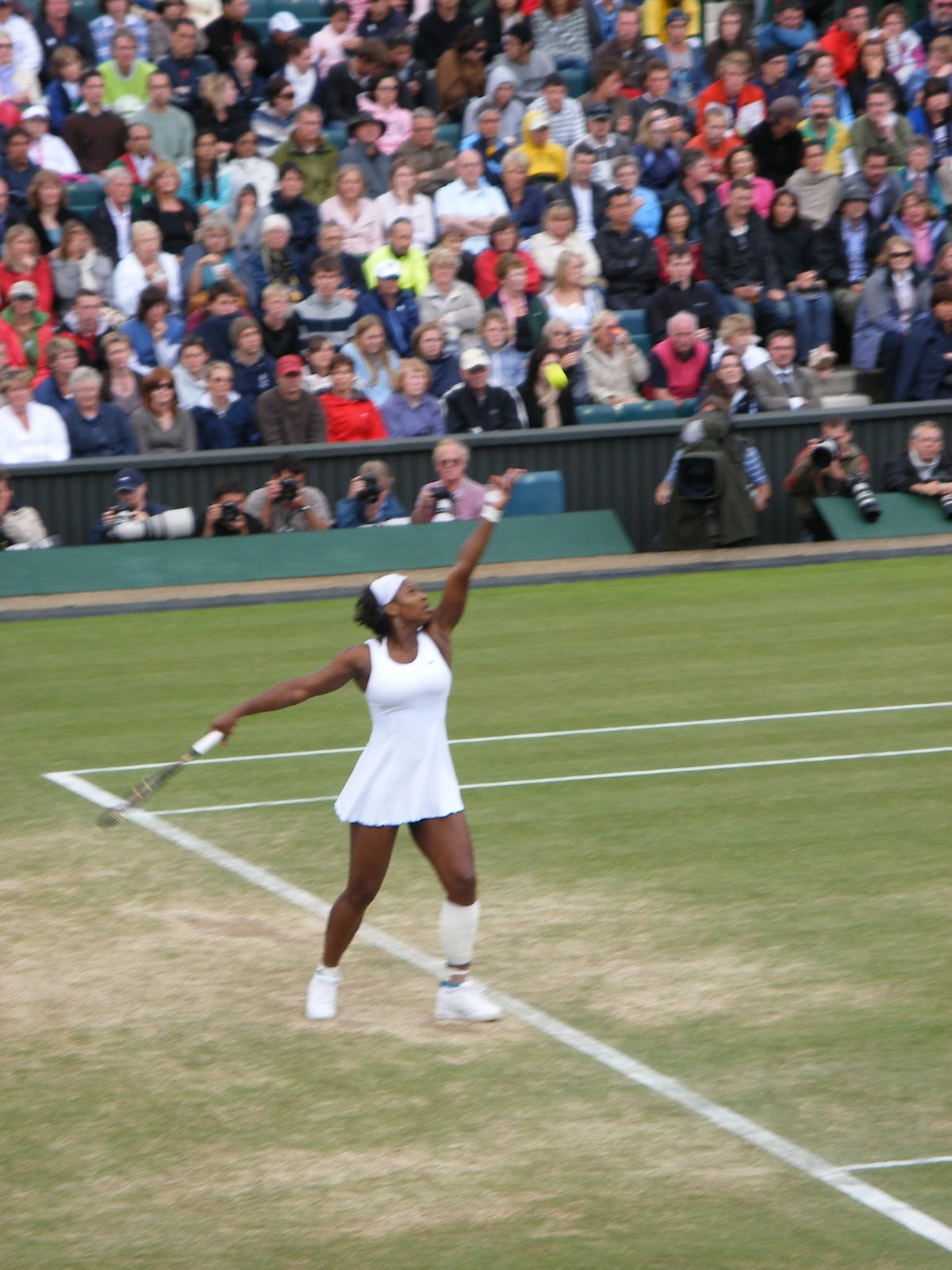 Serena Williams Public Domain Clip Art Photos and Images