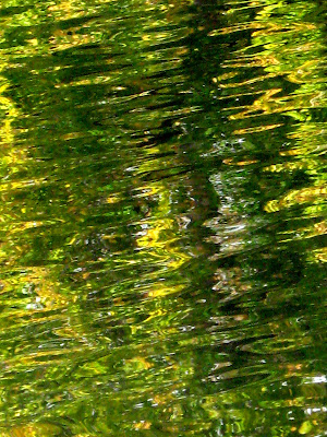 Fall Colors Lake Reflections Orange and Green
