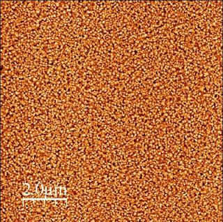 Molecular Electronics