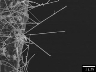 Silicon Nanowire
