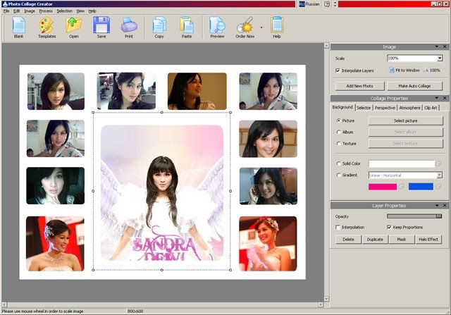 Softwareandtricks Ams Software Photo Collage Creator 3 25 Potable