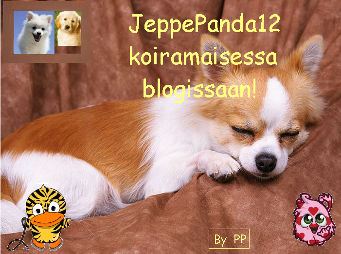 JeppePanda12 koiramaisessa blogissaan!