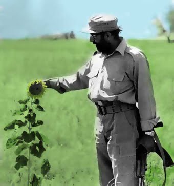 Coursework chamran 06 picture