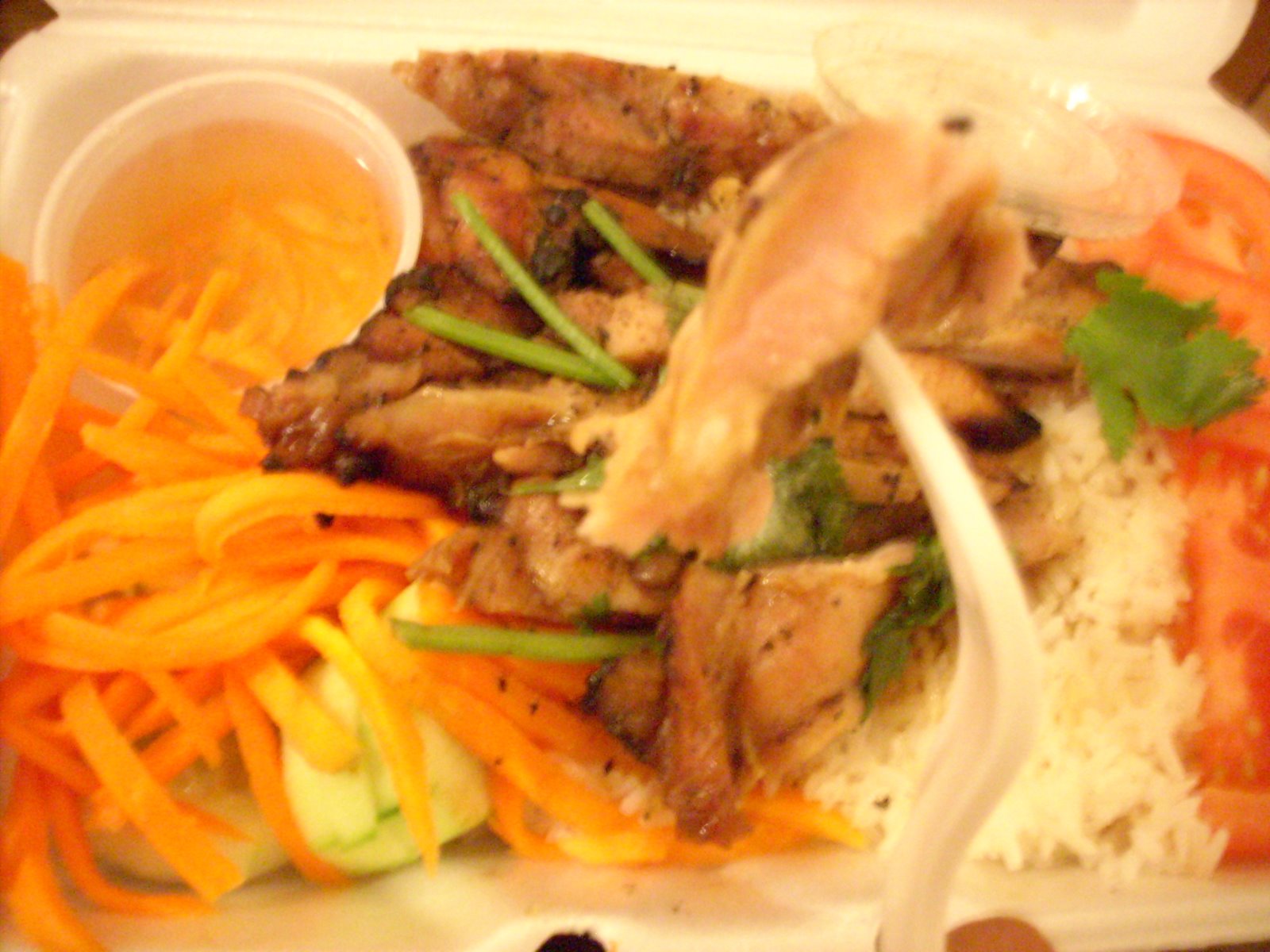 [DSCN0096.JPG]