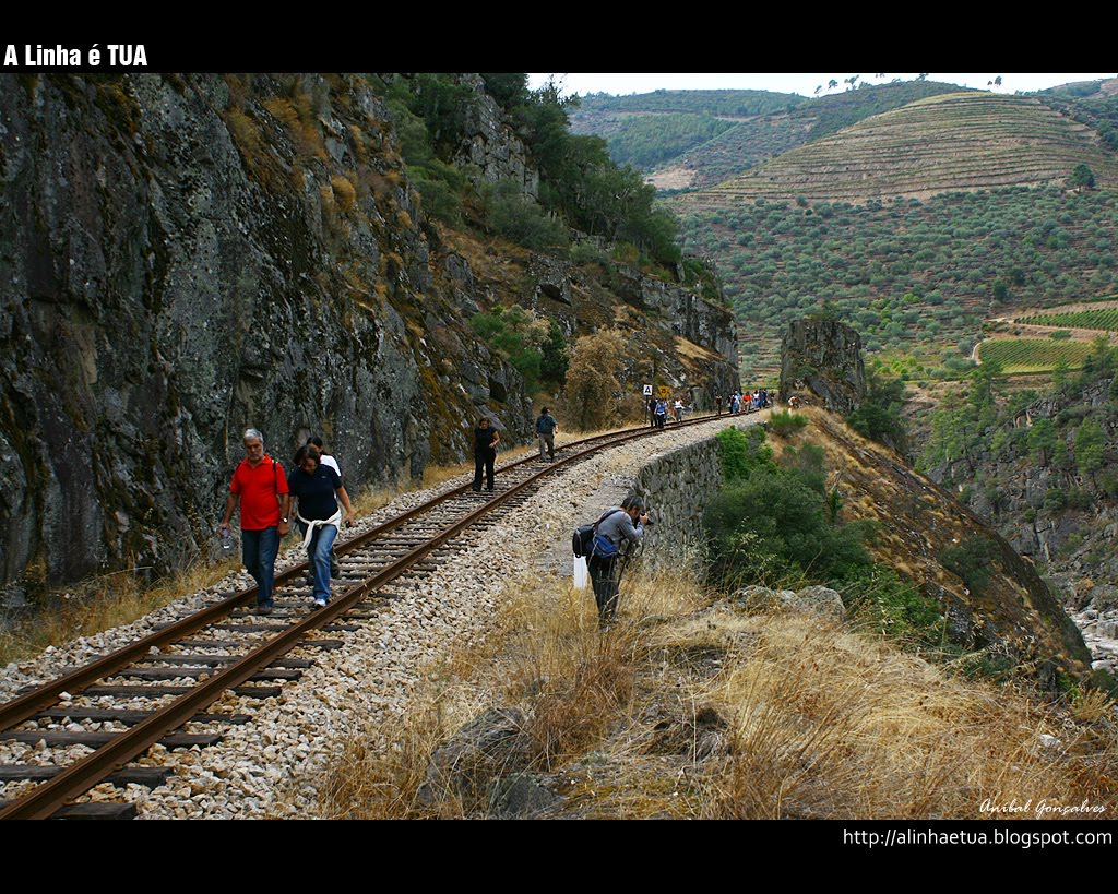 [alinha161.jpg]