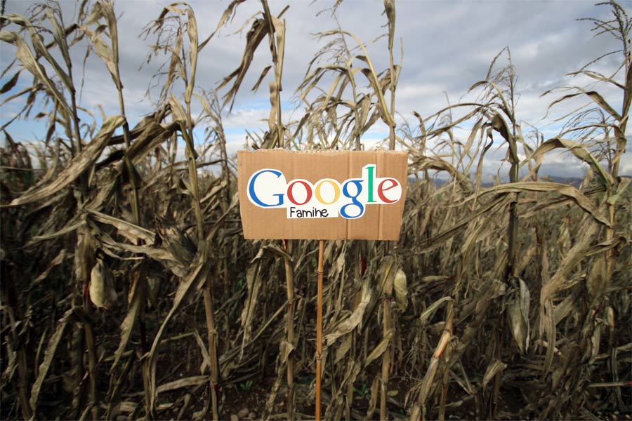 [google5.JPG]