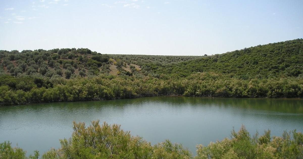 Ecosistemas de aguas continentales essay 02 image