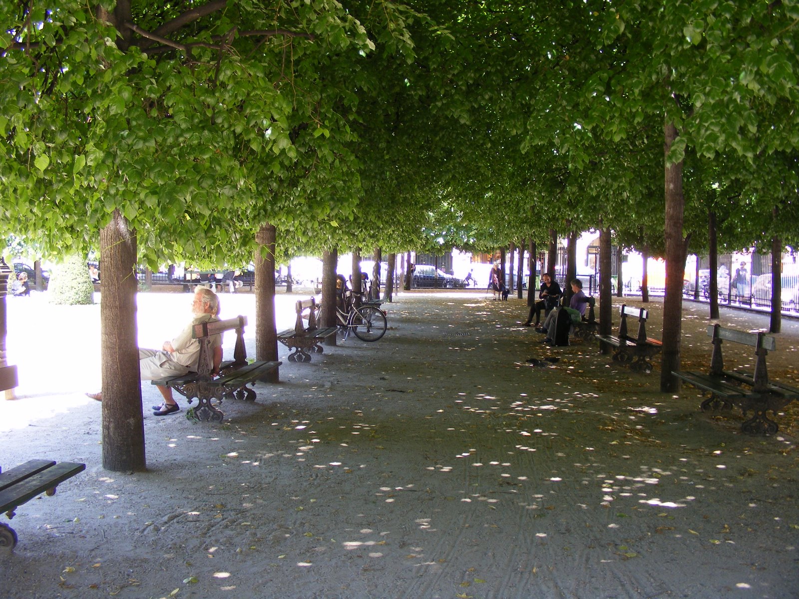 [DSCF6094.JPG]