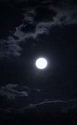 [IMG_4815.JPG]