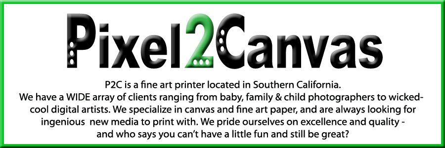 Pixel2Canvas - What\