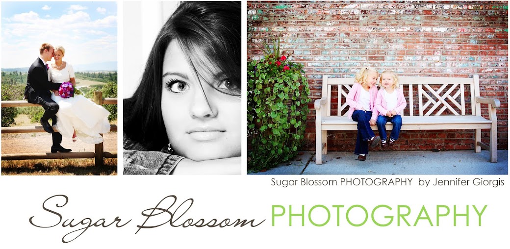 Sugar Blossom Photography