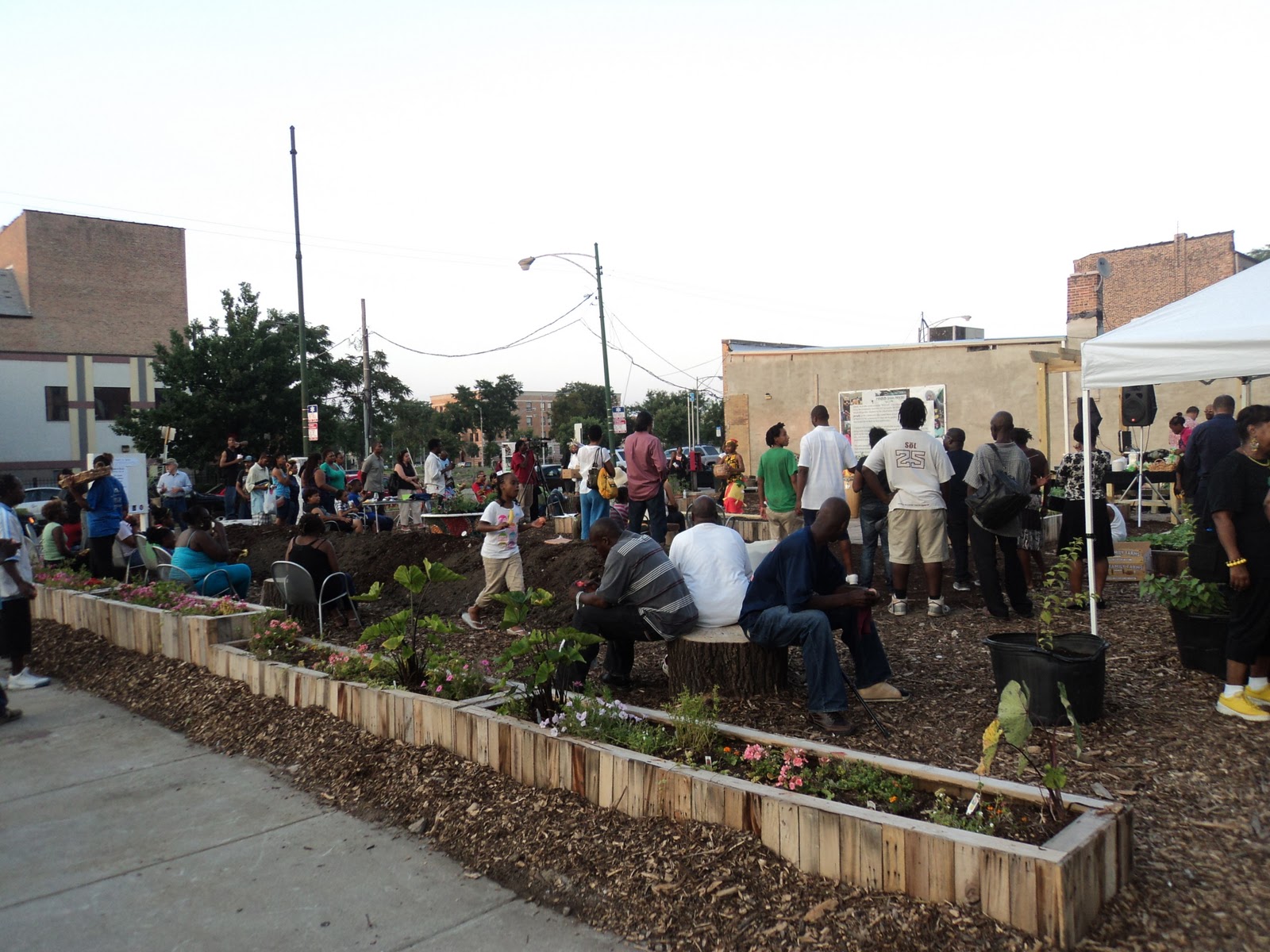 Washington Park GreenSpace Journal Bronzeville Community Garden