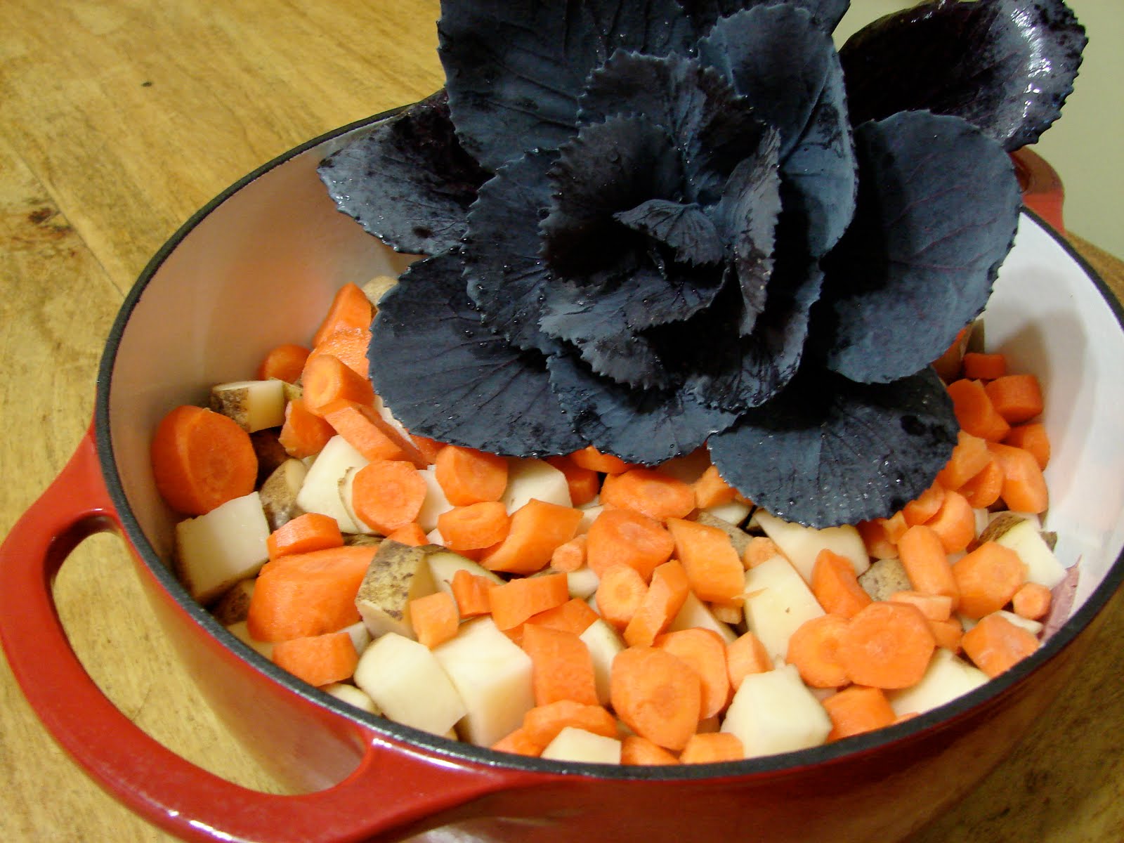 [DSC01964.JPG]