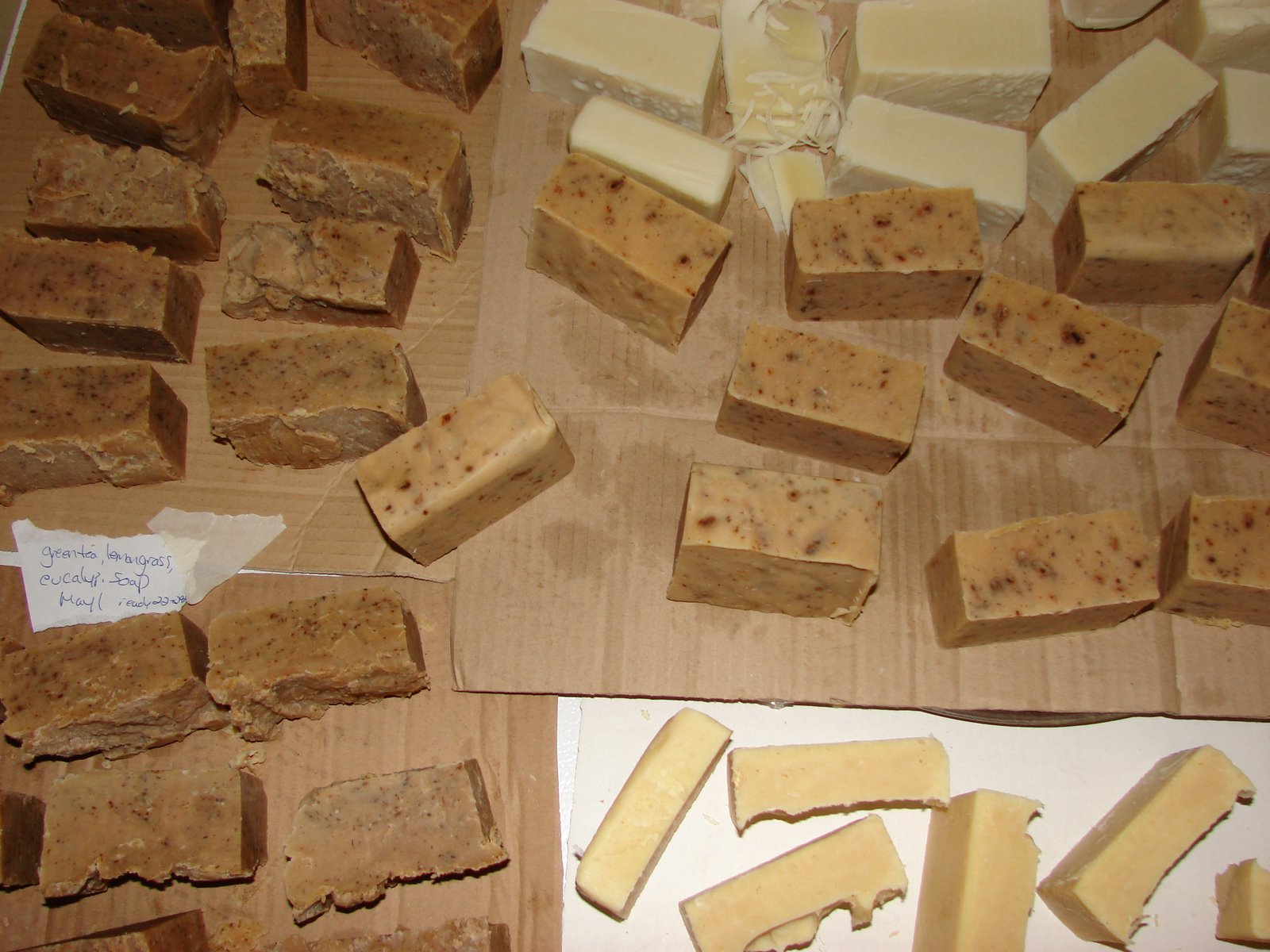[DSC06935.JPG]