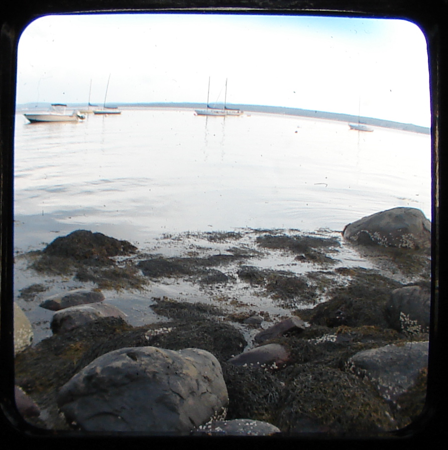 [DSC08577.JPG]