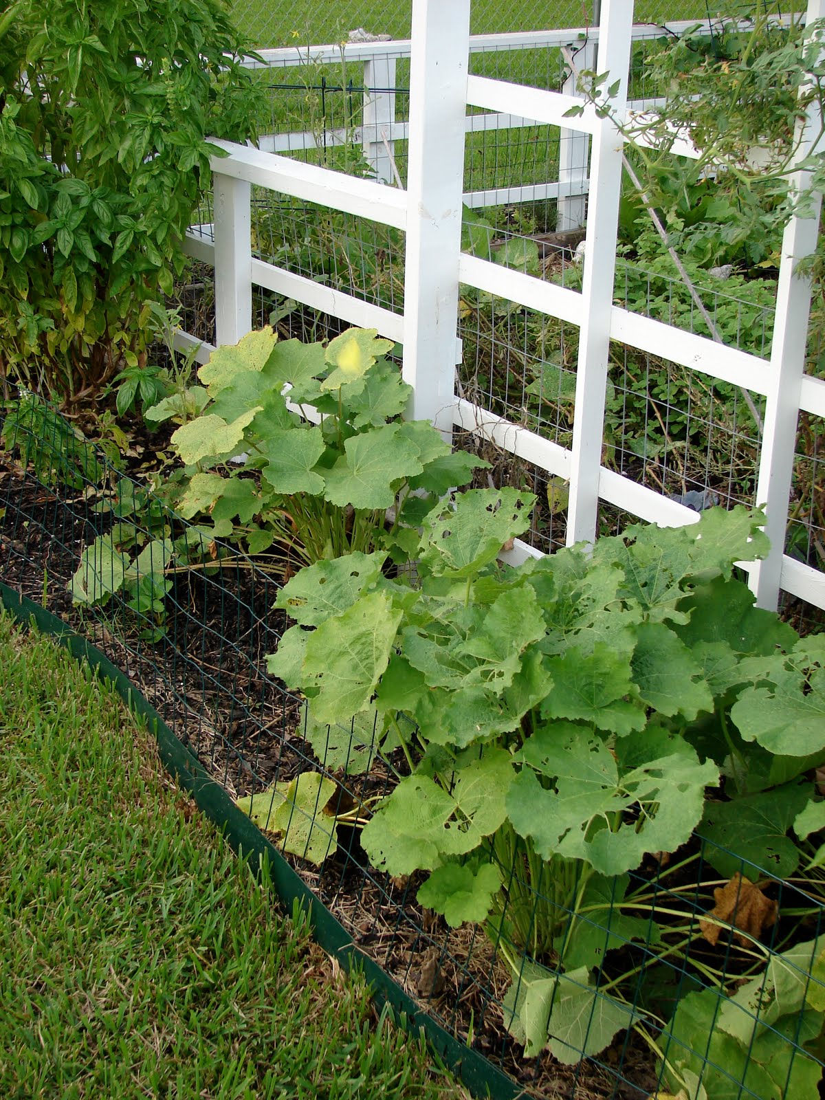 [DSC09525.JPG]