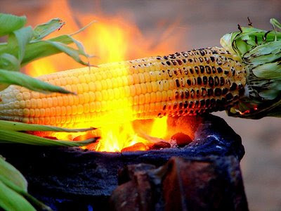 roast our corn crops?