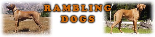 Rambling Dogs