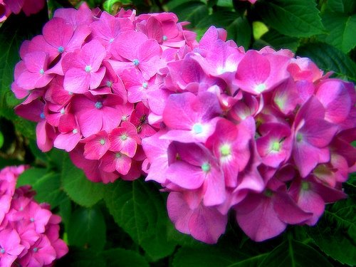 [3752369285_2c3cf27578.jpg]