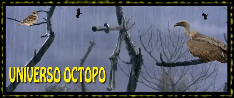 Universo Octopo