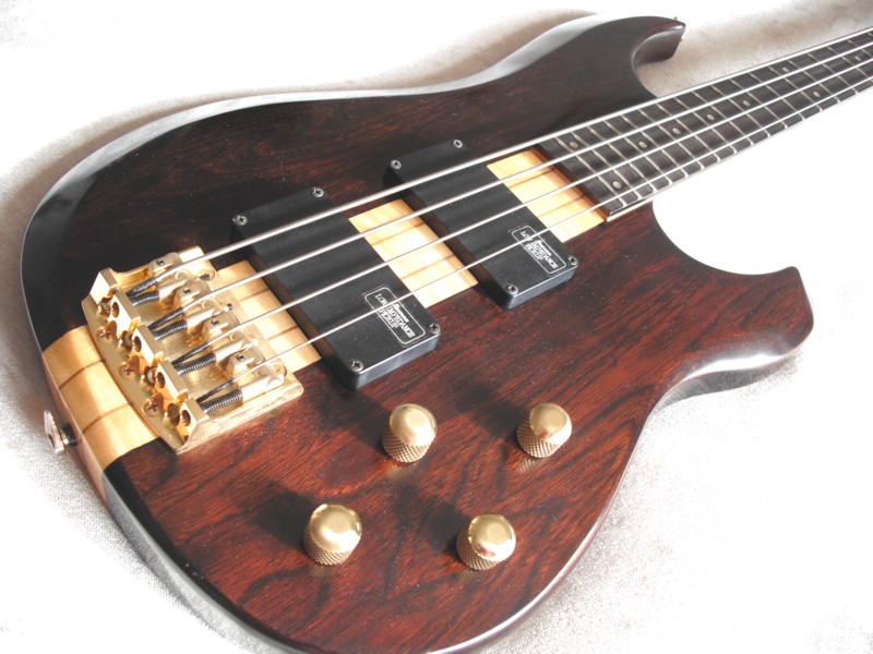 [Obrazek: IbMusician.jpg]