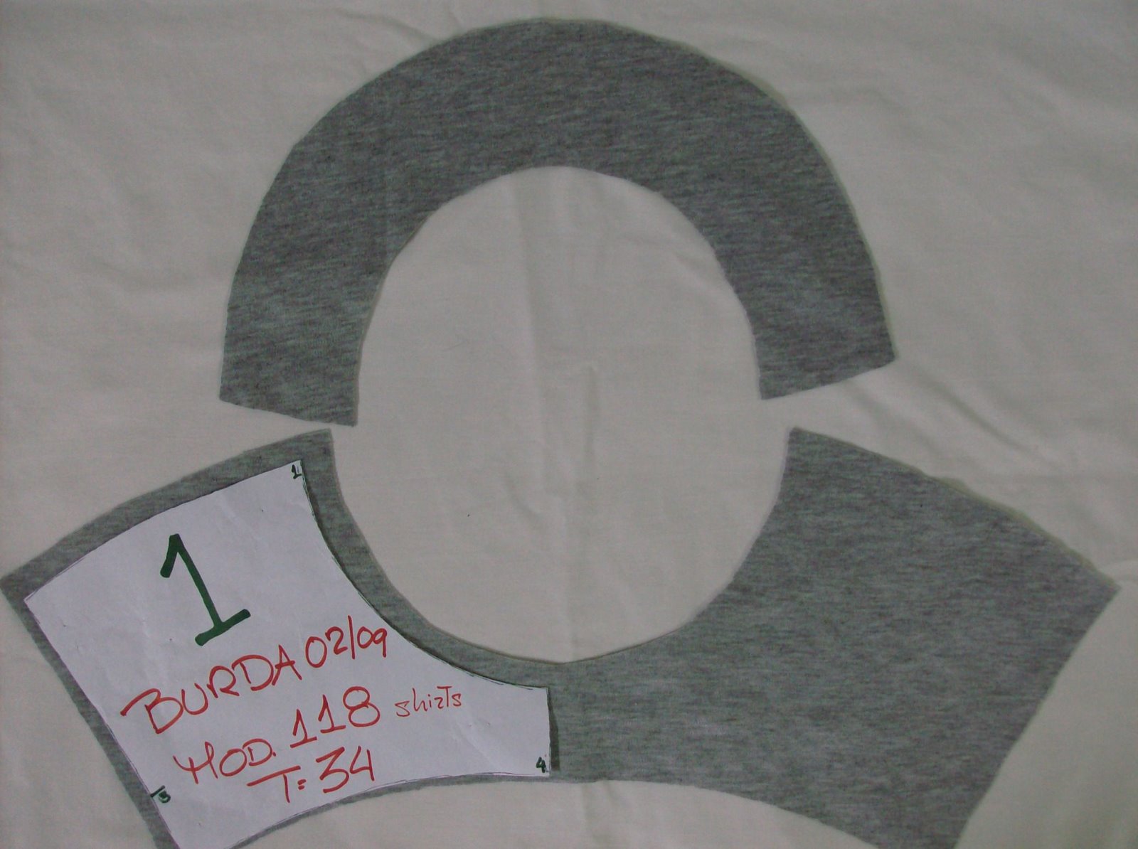 [shirt-118-burda-febrero-2009-vista-delantero.jpg]