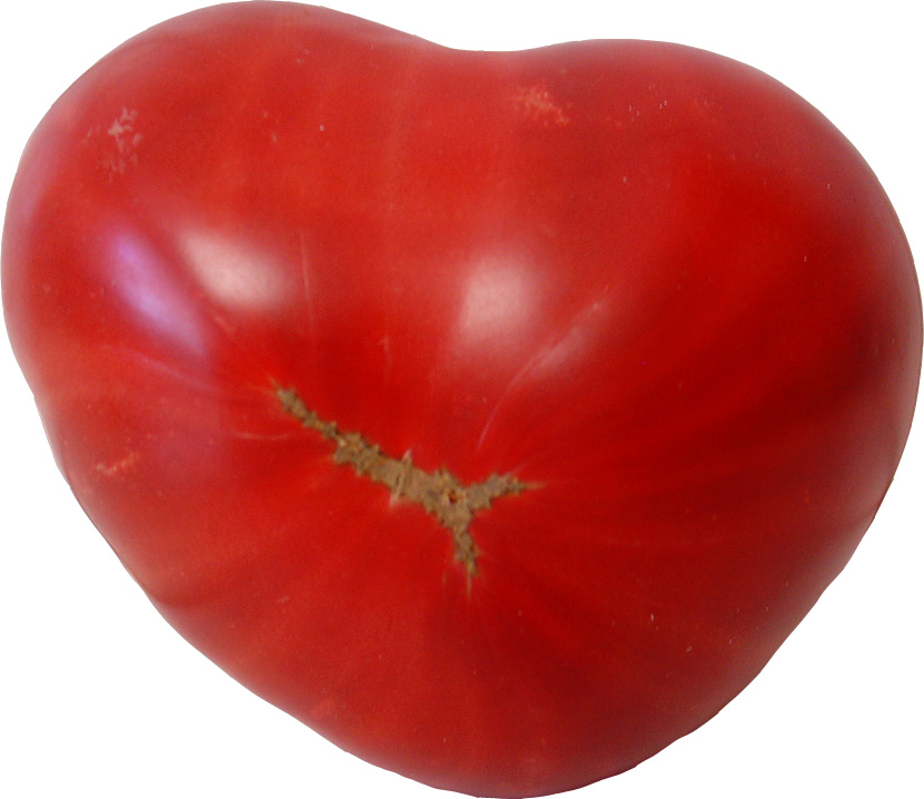 [heart_tomato2.jpg]
