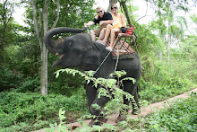 Riding Elephants in Thailand