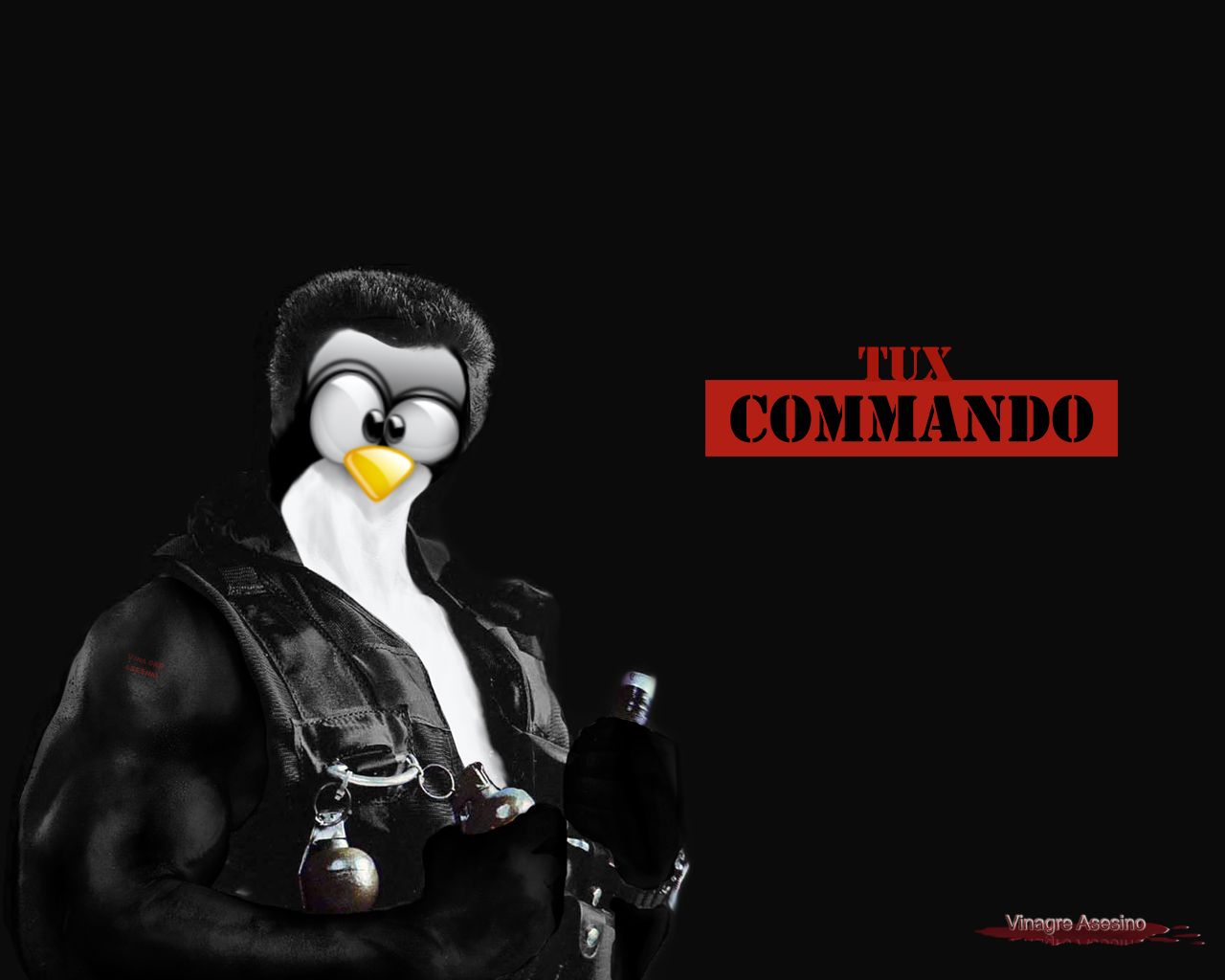http://3.bp.blogspot.com/_TfwG9rmwcnI/TTsXFFdXXfI/AAAAAAAAAJA/OmssvamvQtQ/s1600/wallpaper-tux-commando-1280-1024.jpg