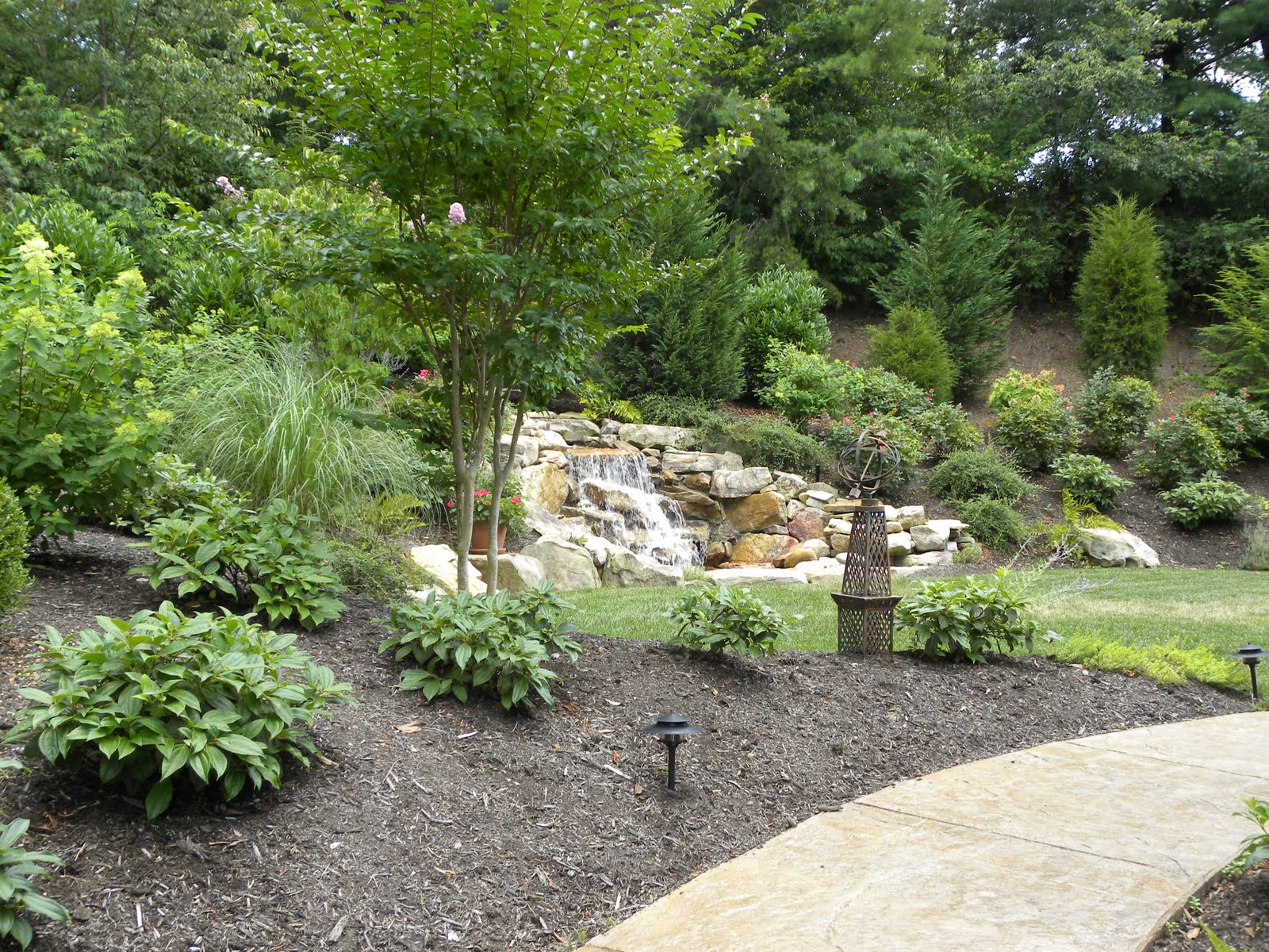 koi-pond-water-quality-3.jpg