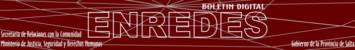 Boletin ENREDES Nº 4