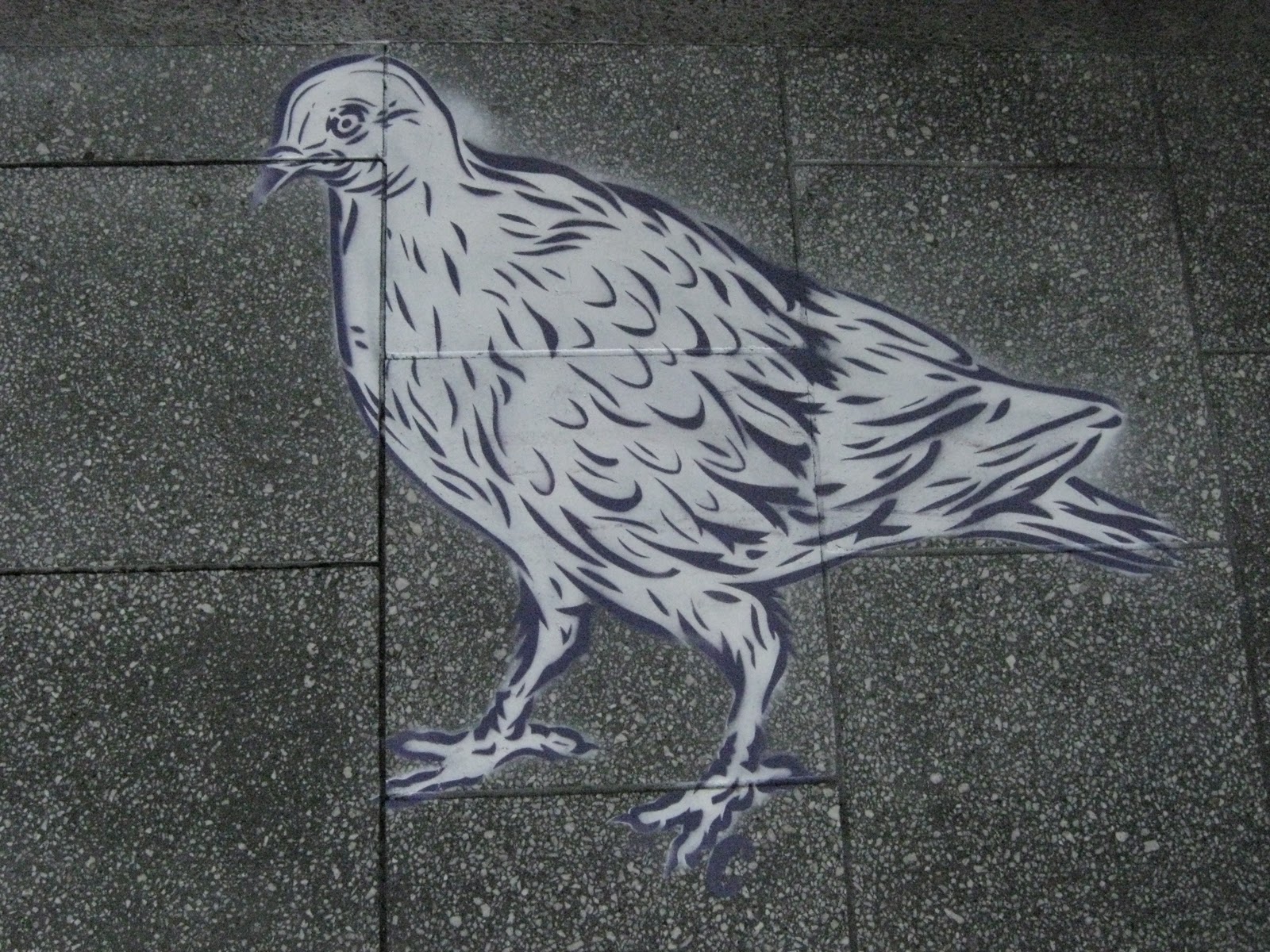 Nz Stencil