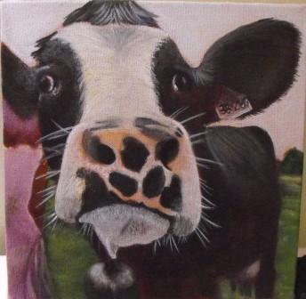 [CowCompressed.JPG]