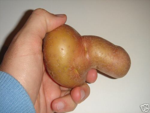 [potato-cock.jpg]